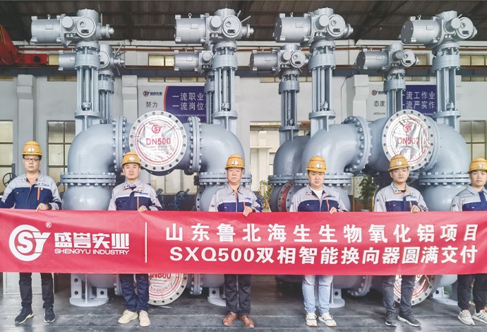 双向智能换向器